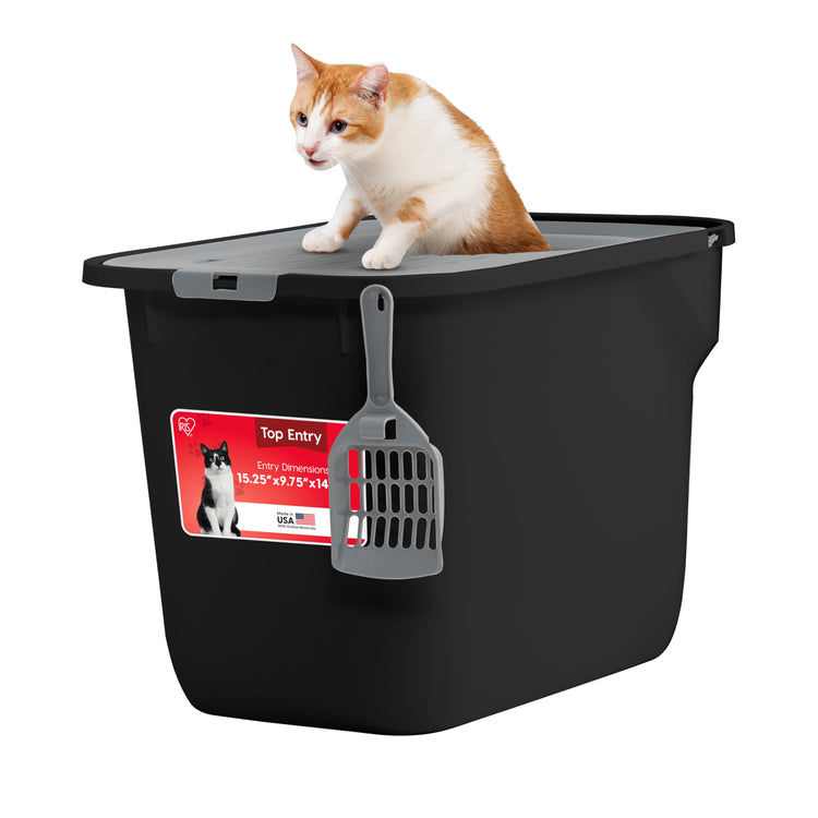IRIS USA Cat Litter Box Large Open Top with High Sided Walls Tall Scatter Shield Scoop Included Easy Clean Plastic Pan Stain Resistant for Big Cats Kittens Indoor Multi-Cat Households