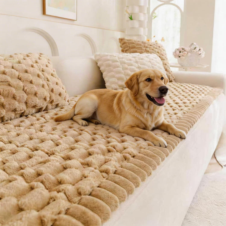 Pet Couch Cover for Dogs Washable Pet-Friendly Dog Sofa Protector for Furniture Boho Pets Mat for Couches and Sofas