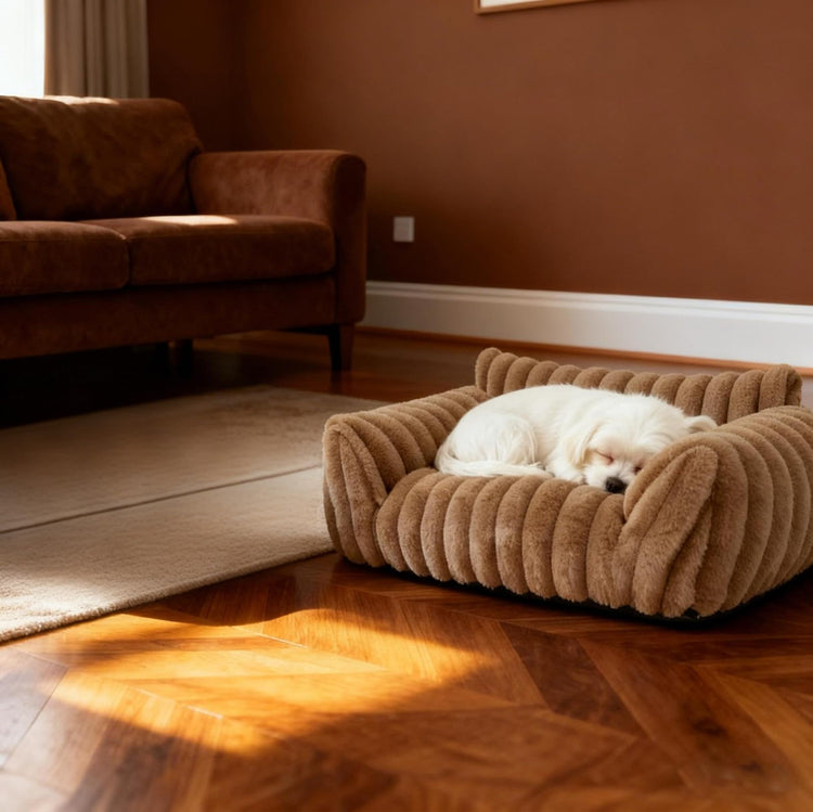 Cat Couch for Pets - Cute Cat Beds for Indoor Cats with Removable Cover, Washable Soft Corduroy Plush, Fluffy Supportive Pet Sofa Chair for Small Dog & Cats, 30 inch Brown