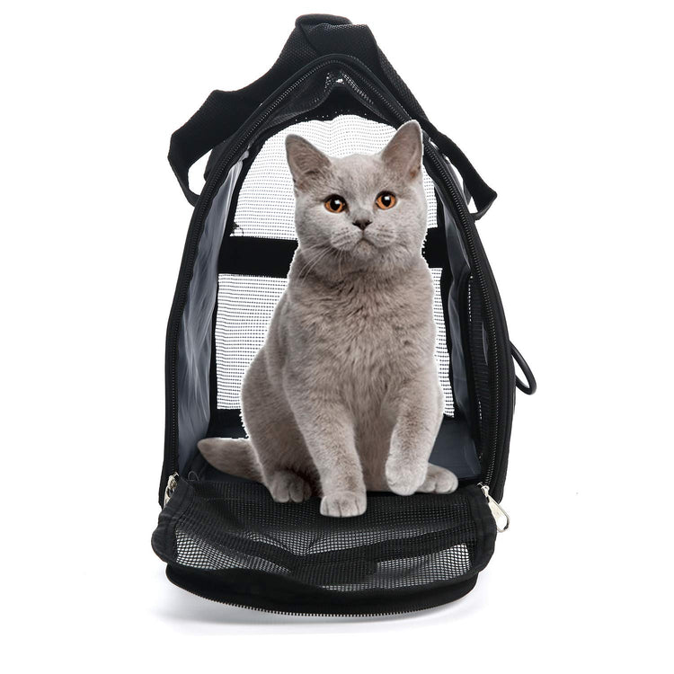 MuchL Pet Carrier Soft-Sided Carriers for Cat Carriers Dog Carrier for Small Medium Cats Dogs Puppies Pet Carrier Airline Approved Cat Dog Pet Travel Carrier (Small, Blue)