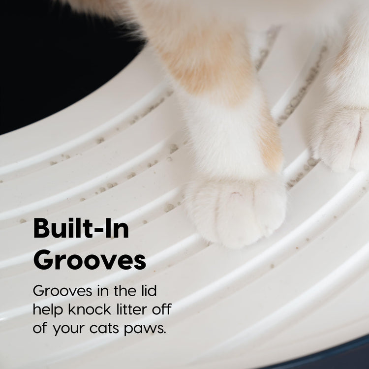 IRIS USA Cat Litter Box Large Open Top with High Sided Walls Tall Scatter Shield Scoop Included Easy Clean Plastic Pan Stain Resistant for Big Cats Kittens Indoor Multi-Cat Households