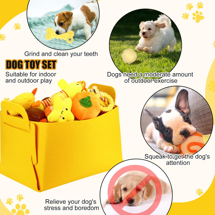 Abbylike 50 Pcs Puppy Supplies Starter Kit for Small Dogs Puppy Essentials Includes Leash, Bowls, Teeth Brushes, Water Bottle, and More Accessories for Dogs Pet Day Welcome Gift(Purple)
