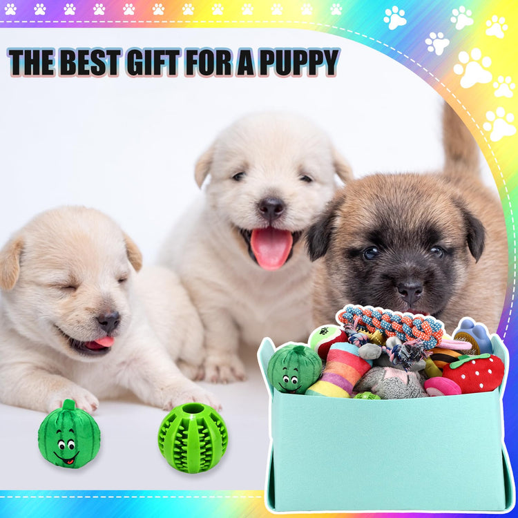 Abbylike 50 Pcs Puppy Supplies Starter Kit for Small Dogs Puppy Essentials Includes Leash, Bowls, Teeth Brushes, Water Bottle, and More Accessories for Dogs Pet Day Welcome Gift(Purple)