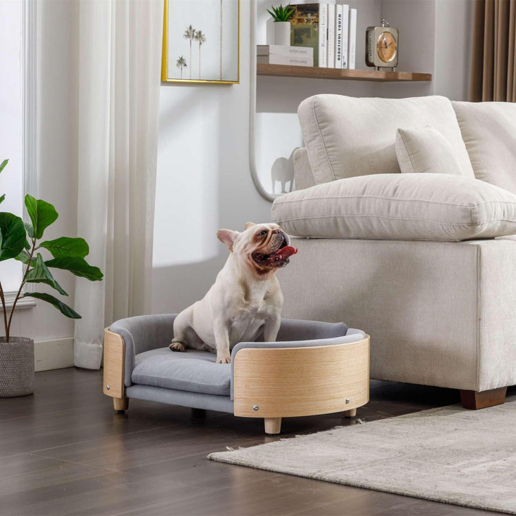 Velvet Dog Bed Pet Sofa with Solid Wood Legs and Bent Wood Back, Stain-Resistant Cushion in Multiple Colors - Luxury Pet Furniture for Cats and Dogs, Dark Grey