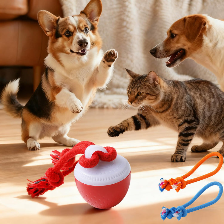 Interactive Dog Toys, Interactive Dog Ball with Birdsong Squeaky Chewable Rope for Small/Medium/Large Dogs,Automatic Moving Dogs Toy Wicked Ball for Boredom & Training,Dog Toys to Keep them Busy(Blue)