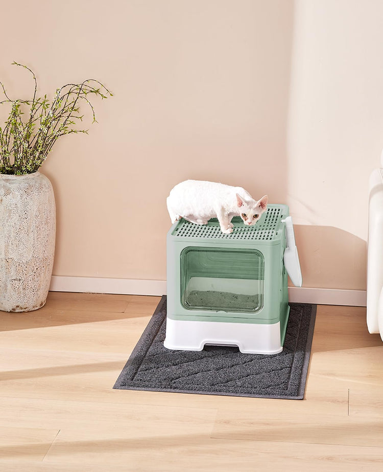 Medario Cat Litter Box with Litter Mat and Scoop, Large Covered Litter Box with Lid, Enclosed Kitty Box, Front Entry Top Exit, Odor Control, Easy to Clean (Grey)