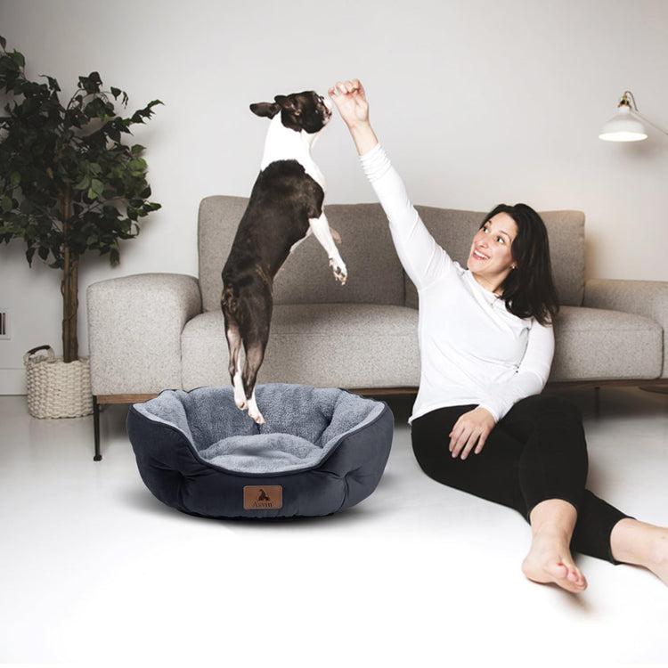 Asvin Small Dog Bed for Small Dogs, Cat Beds for Indoor Cats, Pet Bed for Puppy and Kitty, Extra Soft & Machine Washable with Anti-Slip & Water-Resistant Oxford Bottom, Grey, 20 inches