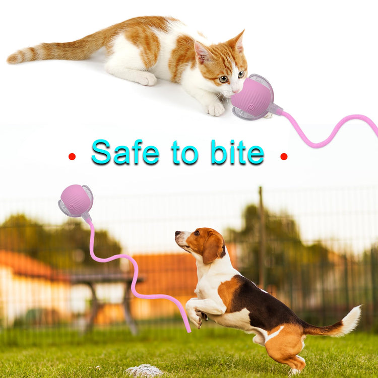 Interactive Cat Dog Toy Ball: Indoor Small Automatic Moving Smart Rolling Fun Pet Game with Led Light and String Tail for Motion Activated, Cute Kitten Puppy Present, Exercise Wheel Supplies (Yellow)