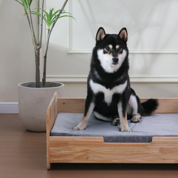 Elevated Dog Beds Frame with Mattress, Raised Wood Pet Bed Sofa Indoor for Large Medium Small Dogs Cats (Brown)