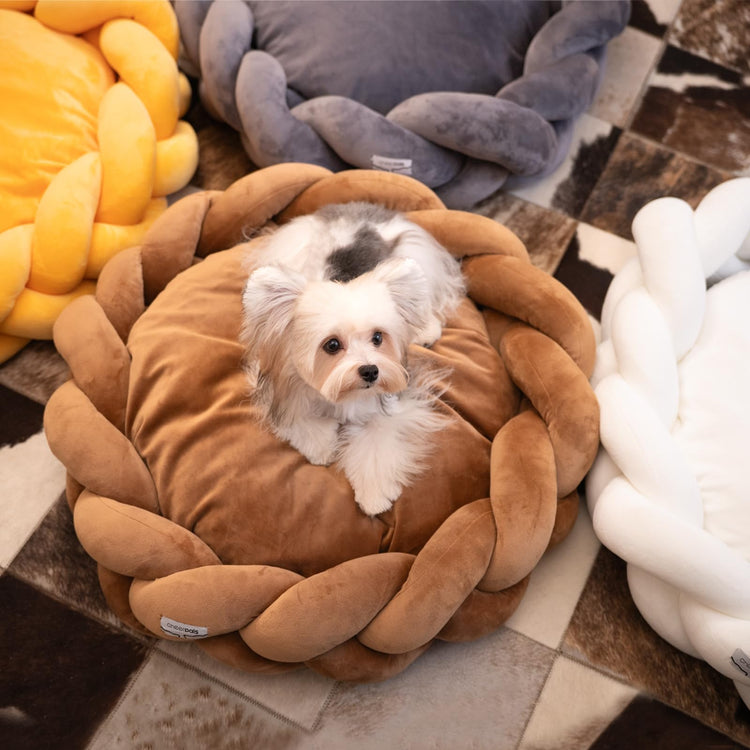 CHEERPALS Weave Cat Bed for Indoor Cats,Cute Pet Bed with Washable Cushion Fluffy Kitty Bed for Small Dog(Dark Gray)