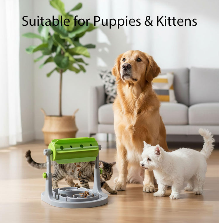 Pet Feeding Solution Automatic Cat & Dog Cafe Feeder and Water Dispenser in Set with Food Scoop - Ito Rocky 6-Meal Automatic Food Dispenser for Small/Middle Puppy and Kitten