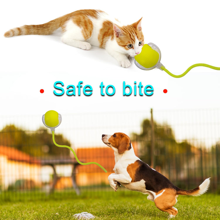 Interactive Cat Dog Toy Ball: Indoor Small Automatic Moving Smart Rolling Fun Pet Game with Led Light and String Tail for Motion Activated, Cute Kitten Puppy Present, Exercise Wheel Supplies (Yellow)