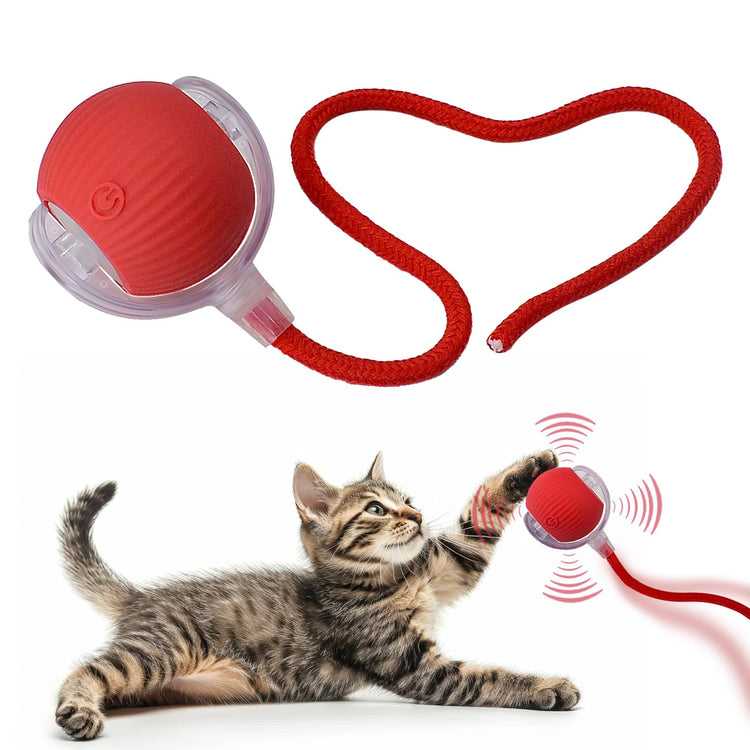 Interactive Cat Dog Toy Ball: Indoor Small Automatic Moving Smart Rolling Fun Pet Game with Led Light and String Tail for Motion Activated, Cute Kitten Puppy Present, Exercise Wheel Supplies (Yellow)