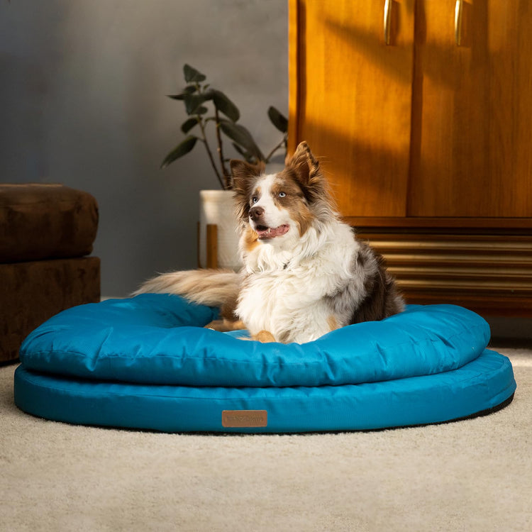ClevaHome Cat Dog Bed for Small Pets up to 15lbs - Round Cat Beds for Indoor Cats, Machine Washable Comfortable Pet Bed for Puppy and Kitten with Non-Slip Bottom (Washed Green)