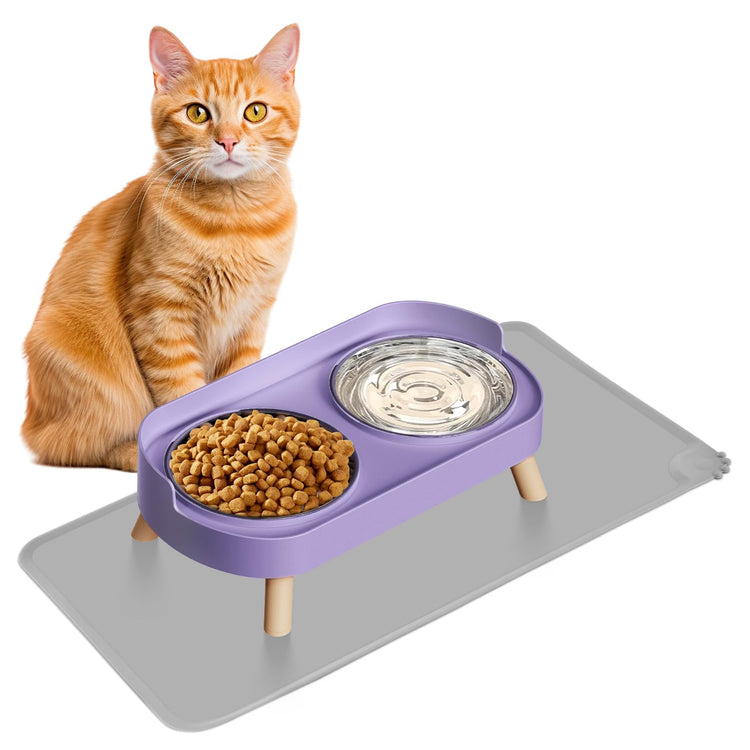 Elevated Cat Bowl, Raised Cat Food and Water Bowl Set for Indoor Cats, Splash Proof with 2 Stainless Steel Pet Food Bowls for Cats and Puppies, Whisker Fatigue and Dishwasher Safe - White