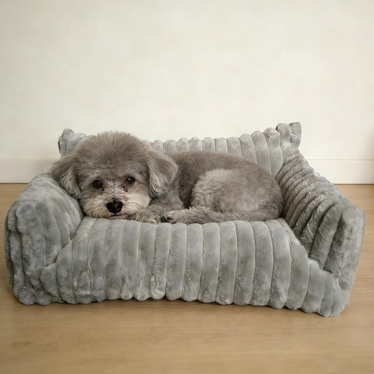 Cat Couch for Pets - Cute Cat Beds for Indoor Cats with Removable Cover, Washable Soft Corduroy Plush, Fluffy Supportive Pet Sofa Chair for Small Dog & Cats, 30 inch Brown