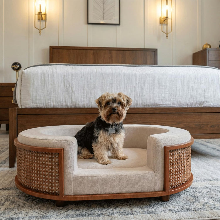 4 Cats & Dogs Gracie Rattan Bed for Small Pets, Walnut Wood Frame with Handwoven Rattan, Soft Removable Taupe Cushion, Small Pet Sofa Bed, Indoor Sofabed, Pet Furniture for Cats & Dogs - Taupe/Walnut