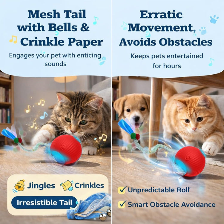 Interactive Cat Toys for Indoor Cats – Motion Activated Automatic Cat Ball with SpeedyTail, 3 Play Modes, Rechargeable LED Rolling Ball, Kitten Toys for Bored Indoor Cats, Smart Cat Enrichment Toy