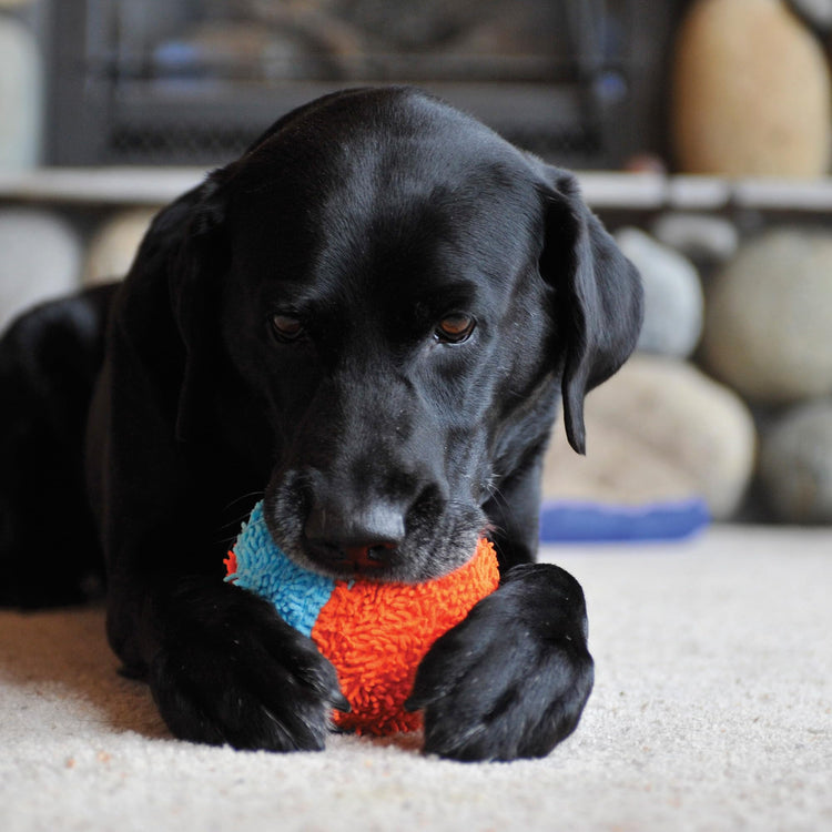 Chuckit! Indoor Fetch Roller Toy for Dogs - Interactive Dog Toys for Boredom, Orange and Blue