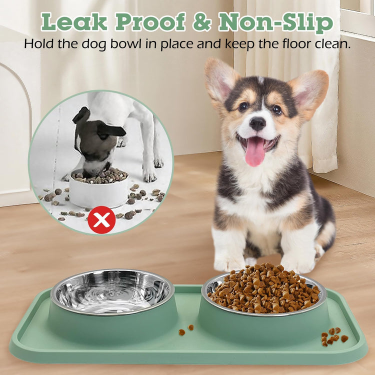 BNOSDM Double Dog Food Bowls Stainless Steel Dog Food and Water Bowls with Non-Spill Plastic Mat Pet Cat Feeder Bowl Set for Puppy Cats Kitten Small Medium Dogs Pink