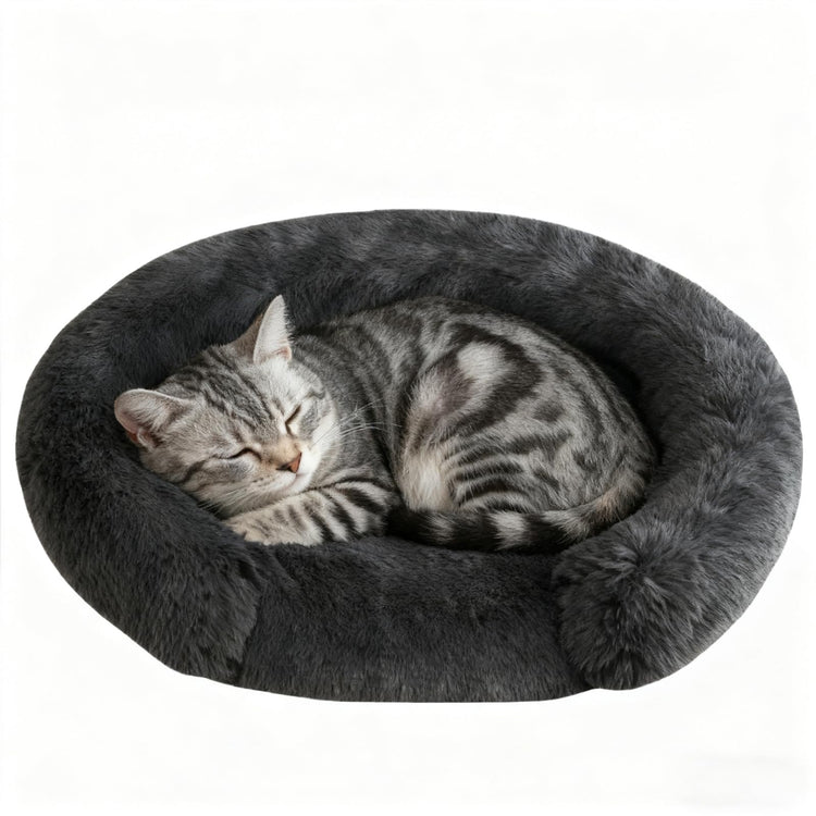 Orthopedic Dog Bed with Egg-Crate Base, Calming Dog & Cat Beds Long Plush with Raised Edges, Spine Friendly Pet Sleeping Mat for Small Medium Dogs, Machine Washable (Oval, Beige 26"x20")