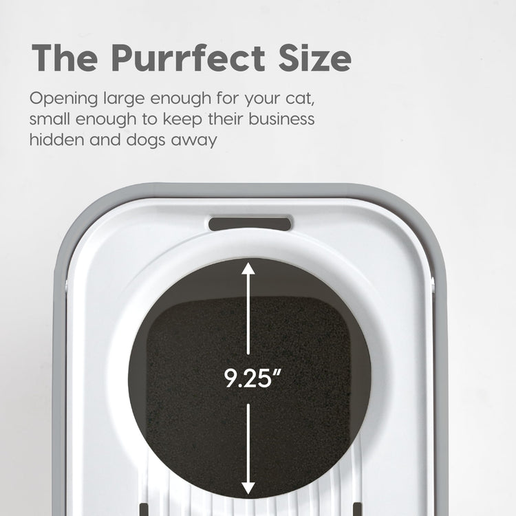 IRIS USA Cat Litter Box Large Open Top with High Sided Walls Tall Scatter Shield Scoop Included Easy Clean Plastic Pan Stain Resistant for Big Cats Kittens Indoor Multi-Cat Households