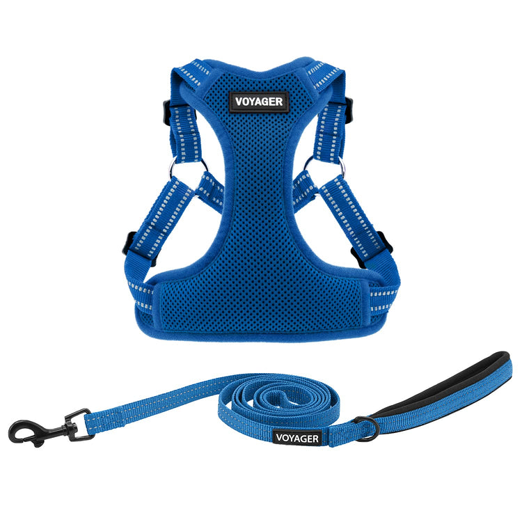 Best Pet Supplies Voyager Adjustable Step-in Flex Breathable Mesh Dog Harness for Small Medium Large Dogs Leash Set (Purple), M