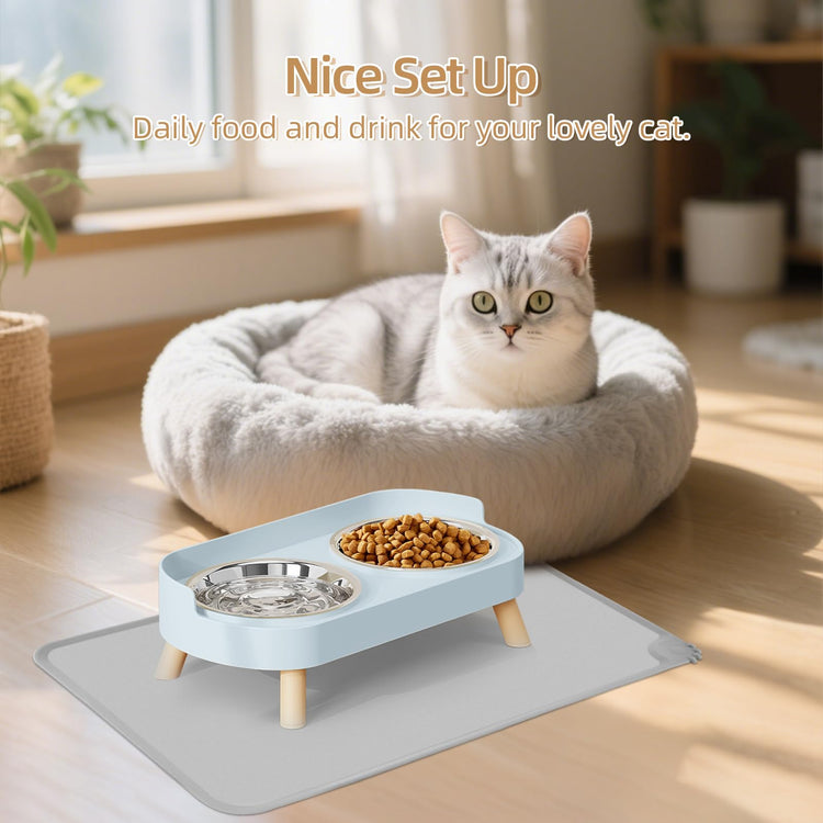 Elevated Cat Bowl, Raised Cat Food and Water Bowl Set for Indoor Cats, Splash Proof with 2 Stainless Steel Pet Food Bowls for Cats and Puppies, Whisker Fatigue and Dishwasher Safe - White