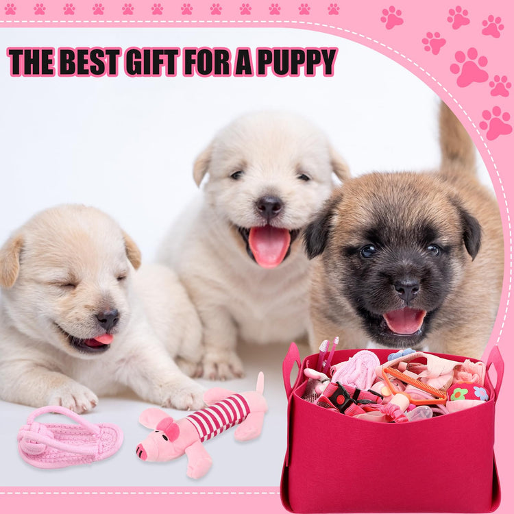 Abbylike 50 Pcs Puppy Supplies Starter Kit for Small Dogs Puppy Essentials Includes Leash, Bowls, Teeth Brushes, Water Bottle, and More Accessories for Dogs Pet Day Welcome Gift(Purple)