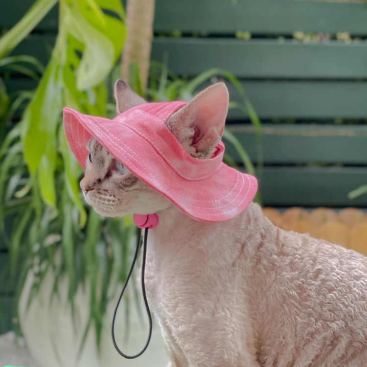 Pet hat with Ear Holes Sunscreen Baseball Cap Suitable for Small and Medium-Sized Dogs Outdoor Climbing hat in Summer Pet Products (Pink, Medium)