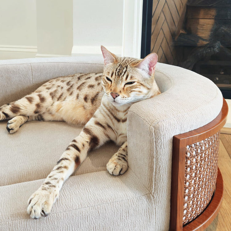 4 Cats & Dogs Gracie Rattan Bed for Small Pets, Walnut Wood Frame with Handwoven Rattan, Soft Removable Taupe Cushion, Small Pet Sofa Bed, Indoor Sofabed, Pet Furniture for Cats & Dogs - Taupe/Walnut