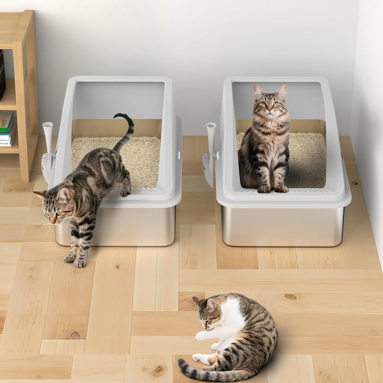 2 Pack Stainless Steel Litter Box for Kitty | Metal Kitty Litter Box with Lid High Sided for Small Cats or Injured Cats, Bunny Litter Boxes, Low Entry, Odor-Free, Non-Stick,Includes Scoop