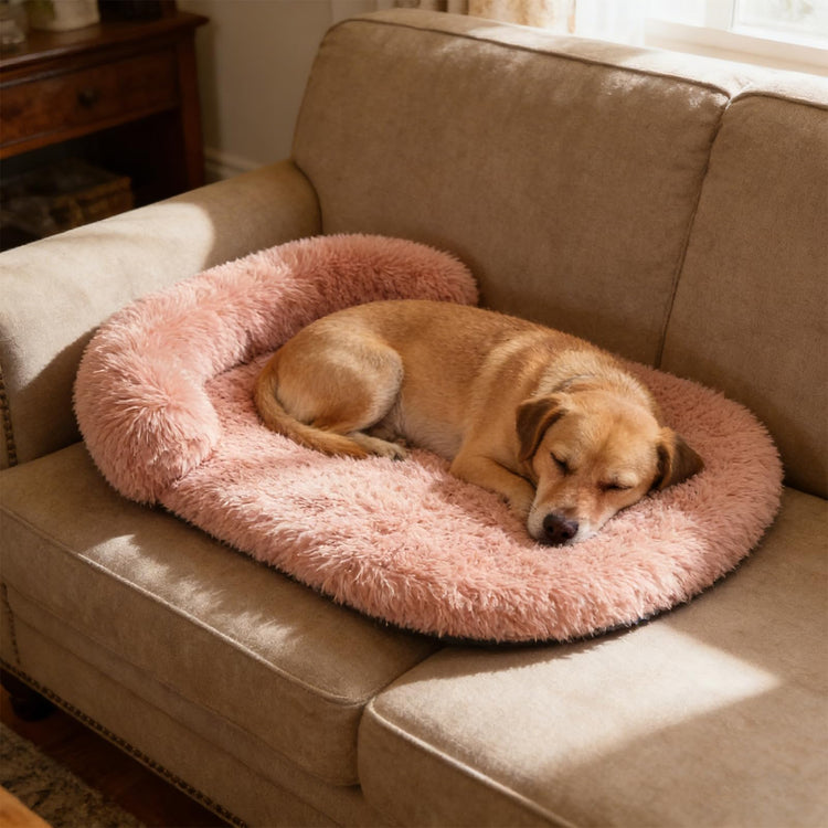 Orthopedic Dog Bed with Egg-Crate Base, Calming Dog & Cat Beds Long Plush with Raised Edges, Spine Friendly Pet Sleeping Mat for Small Medium Dogs, Machine Washable (Oval, Beige 26"x20")