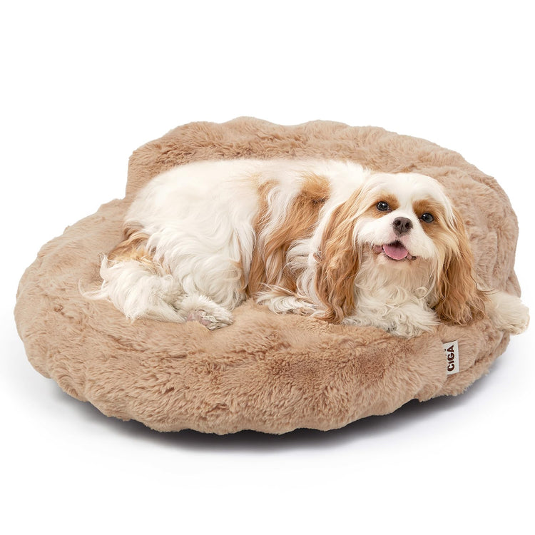EHEYCIGA Soft Cat Couch Bed for Indoor Cats, Fluffy Small Dog Bed with Removable Washable Cover, Bolster Pet Sofa, Waterproof and Non-Slip, 23" x 23"x 7", Cream
