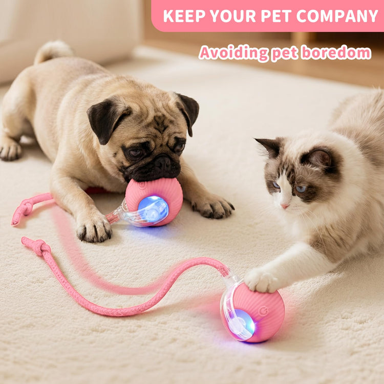 Interactive Cat Toys for Indoor Cats Smart Automatic Ball Rolling for Bored Kitten Pet Upgraded Speedy Moving Chase Dogs Toy Mothers Day Gifts Red