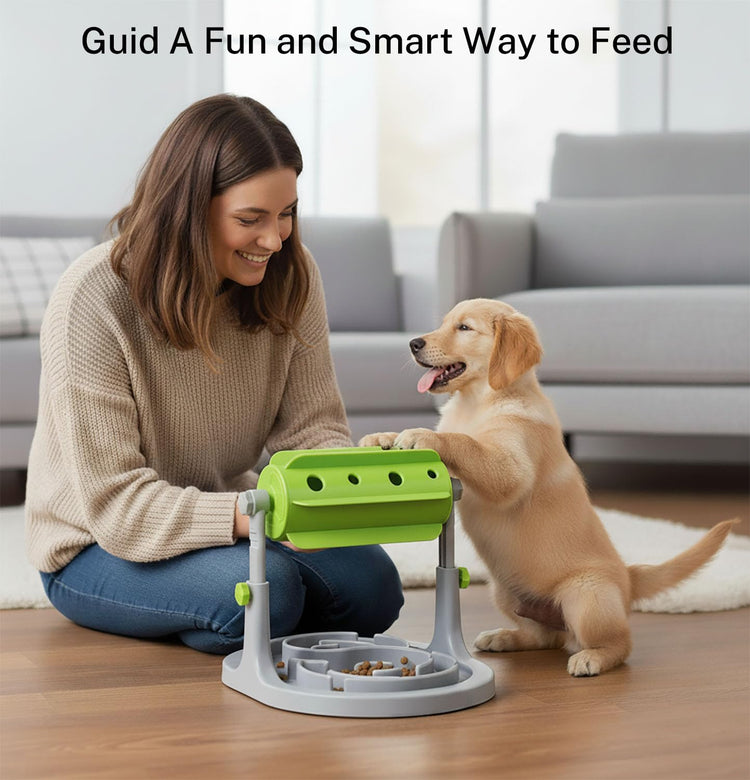 Pet Feeding Solution Automatic Cat & Dog Cafe Feeder and Water Dispenser in Set with Food Scoop - Ito Rocky 6-Meal Automatic Food Dispenser for Small/Middle Puppy and Kitten