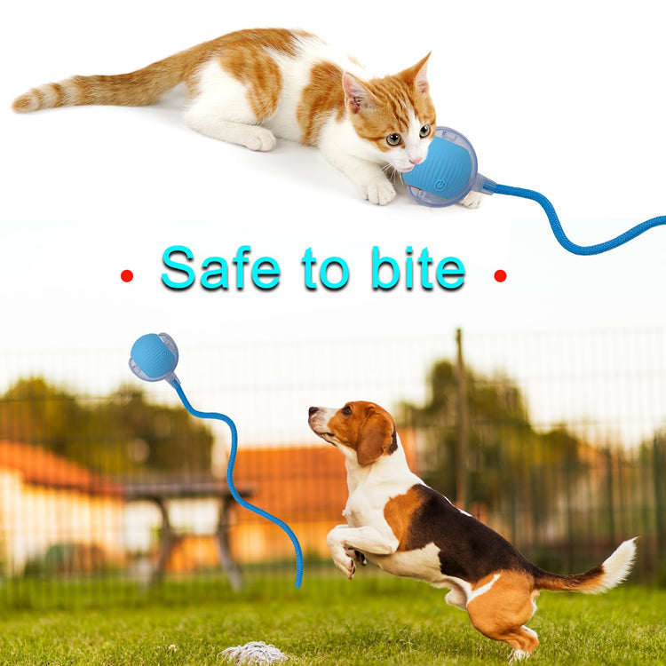 Interactive Cat Dog Toy Ball: Indoor Small Automatic Moving Smart Rolling Fun Pet Game with Led Light and String Tail for Motion Activated, Cute Kitten Puppy Present, Exercise Wheel Supplies (Yellow)