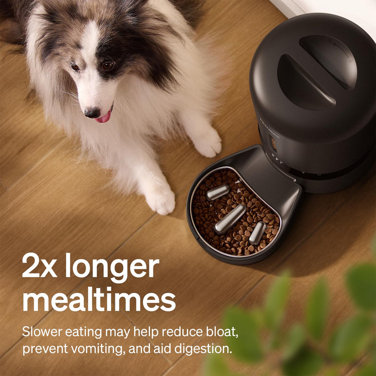 PETLIBRO Automatic Cat Feeder, 5G WiFi Automatic Pet Feeder with Freshness Preservation, 3L Timed Cat Feeders for Dry Food, Up to 48 Portions 10 Meals Per Day, Granary Pet Feeder for Cat/Dog, White