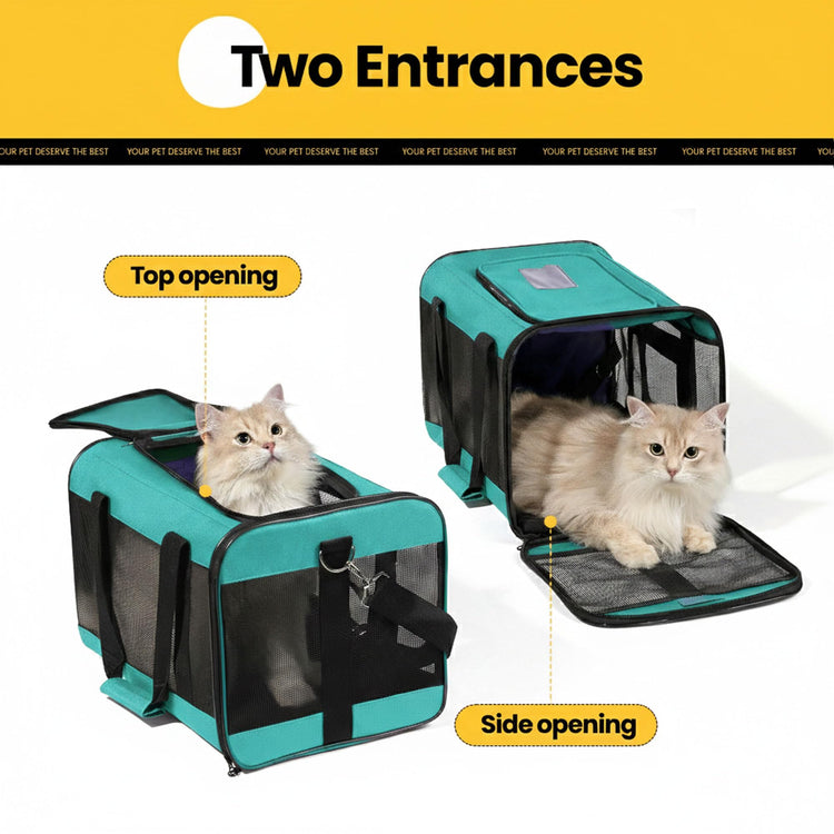 Conlun Cat Carrier Airline Approved, Soft-Sided Dog Carrier with Inner Safety Leash, Pet Transport Carrier for Small-Medium Cats Puppies up to 15 Lbs, Collapsible Travel Kitten Carrier Bag -BlackM