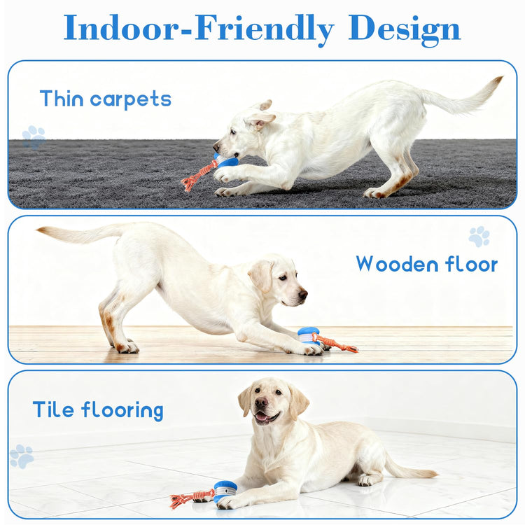 Interactive Dog Toys, Random Path Electric Automatic Moving and Rolling Dogs Toy with Rope for Small Medium Large Dogs, Motion-Activated Dog Stimulation Toy for Boredom Relief (Orange)