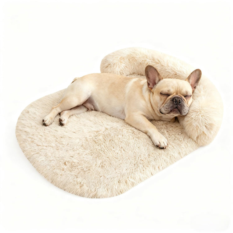 Orthopedic Dog Bed with Egg-Crate Base, Calming Dog & Cat Beds Long Plush with Raised Edges, Spine Friendly Pet Sleeping Mat for Small Medium Dogs, Machine Washable (Oval, Beige 26"x20")