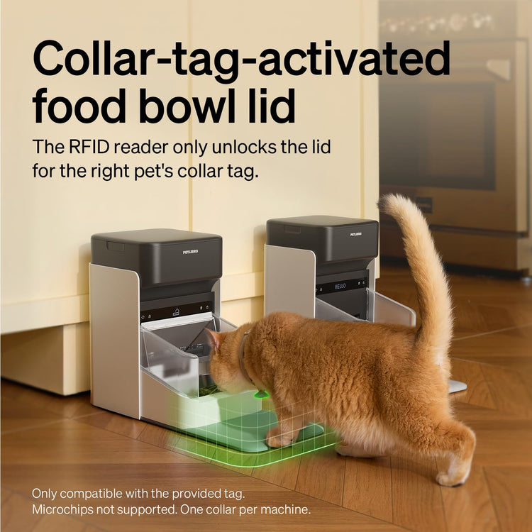 PETLIBRO RFID Automatic Cat Feeder, Collar Tag-Activated Personalized Meals, 5G&2.4G Wi-Fi Programmable Cat Food Dispenser with Cats Recognition & Diet Tracking for Multi-Pet Homes and Different Diets