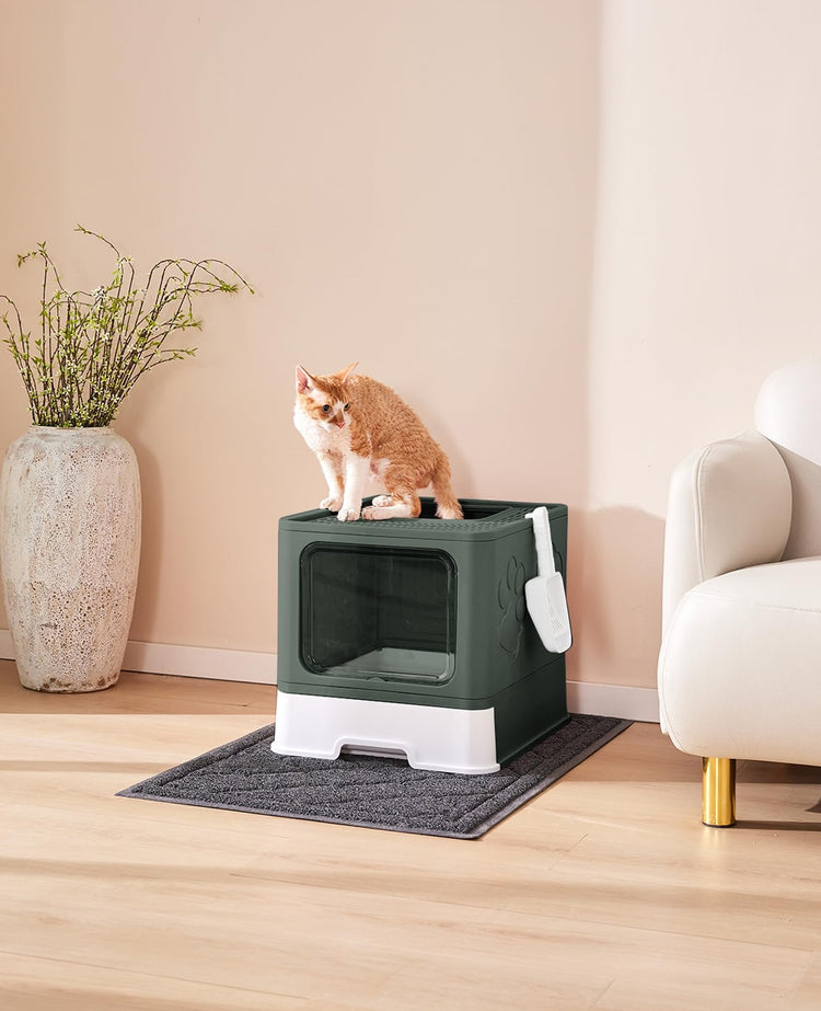 Medario Cat Litter Box with Litter Mat and Scoop, Large Covered Litter Box with Lid, Enclosed Kitty Box, Front Entry Top Exit, Odor Control, Easy to Clean (Grey)