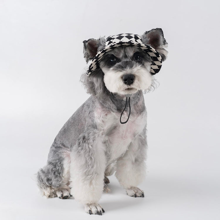 Pet hat with Ear Holes Sunscreen Baseball Cap Suitable for Small and Medium-Sized Dogs Outdoor Climbing hat in Summer Pet Products (Pink, Medium)
