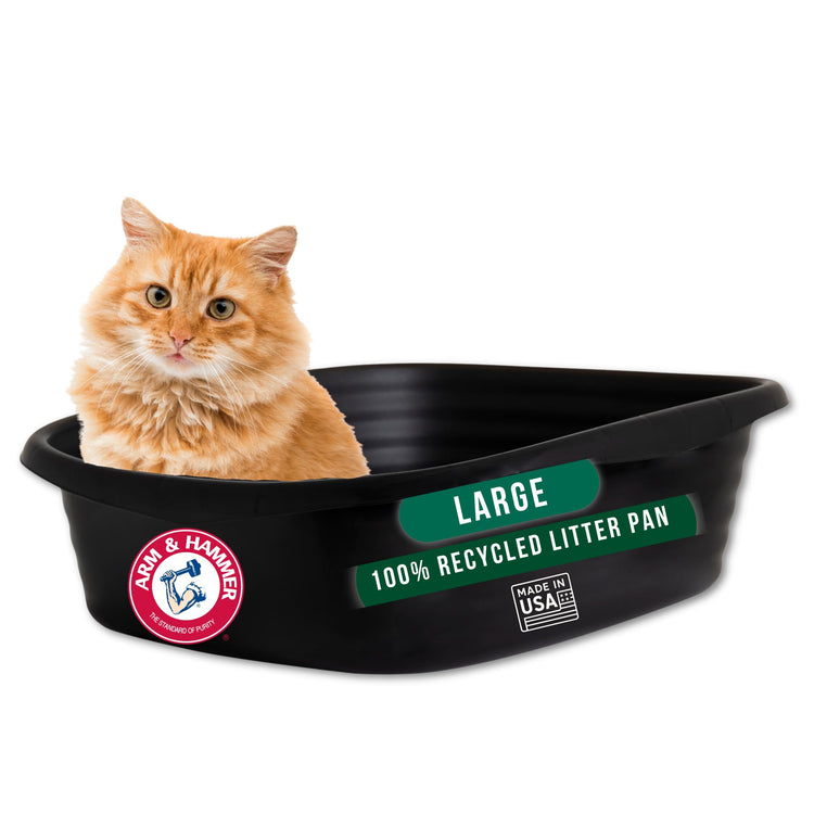 Arm & Hammer Large Sifting Litter Box Scoop Free Cat Litter Tray with Microban, Made in USA