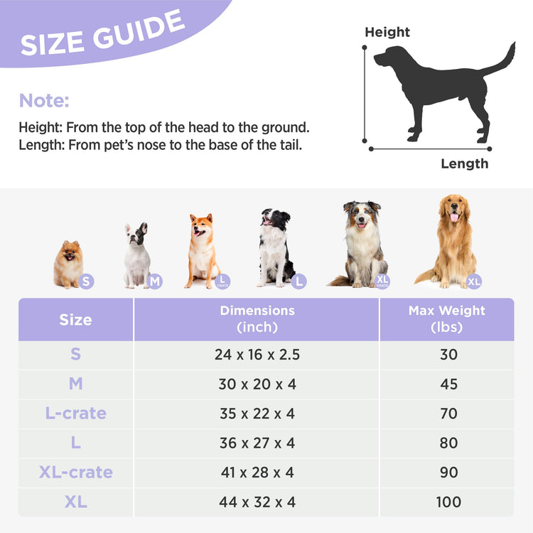 LE SURE Dog Beds Medium Size-Thick Shredded Chopped Foam Pet Bed as Gift for Indoor with Removable Cover, Cute Modern Fuzzy Plush & Anti Slip Bottom, Green