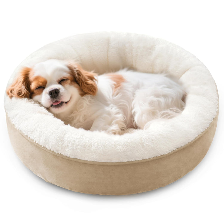 Love's cabin Round Donut Cat and Dog Cushion Bed, 20in Bed for Cats or Small Dogs, Anti-Slip & Water-Resistant Bottom, Super Soft Durable Fabric Pet Beds, Washable Luxury Cat & Dog Bed Gray