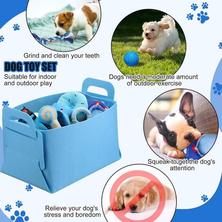Abbylike 50 Pcs Puppy Supplies Starter Kit for Small Dogs Puppy Essentials Includes Leash, Bowls, Teeth Brushes, Water Bottle, and More Accessories for Dogs Pet Day Welcome Gift(Purple)