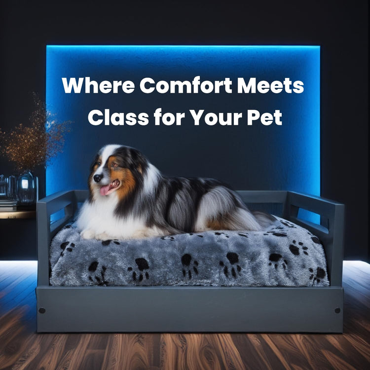 Iconic Pet Sassy Paws Wooden Pet Bed with Paw Printed Comfy Cushion for Dogs & Cats in Varying Sizes & Colors, Small-Rustic Brown