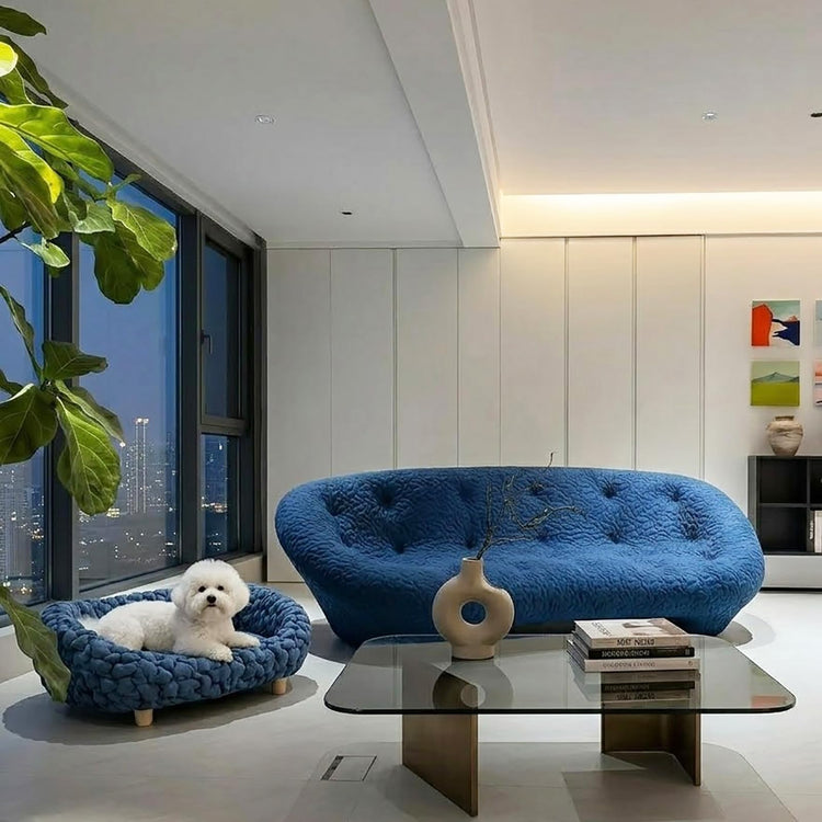 halinfer Modern Pet Sofa for Small to Medium Cats and Dogs, Up to 20 Pounds, Living Room and Bedroom Pet Furniture Bed